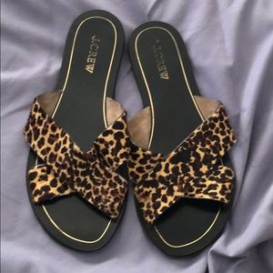Leopard slides